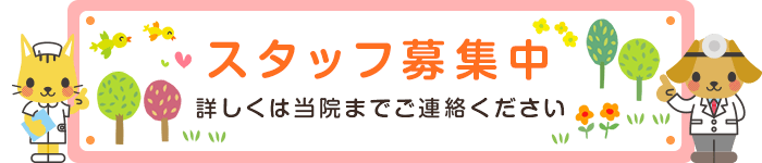 スタッフ募集中